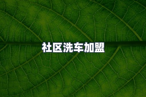 自助洗车加盟项目