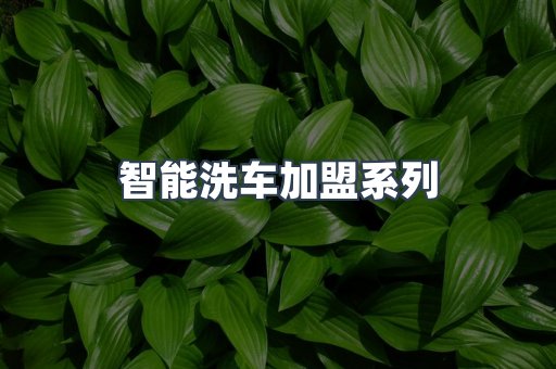 自助洗车加盟项目